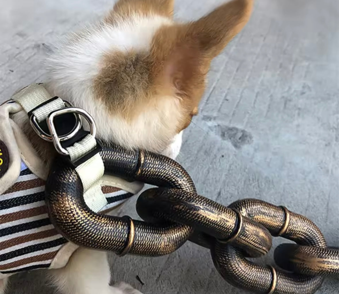 ChainPaws Leash