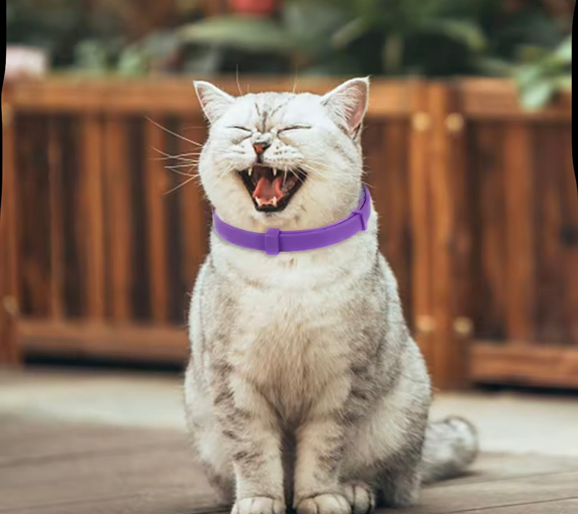 CalmPaw Dog Collar