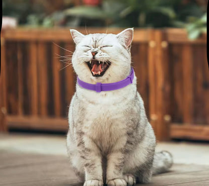 CalmPaw Dog Collar