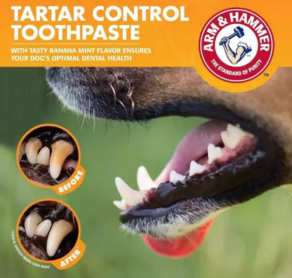PawSmile Pet Dental Kit