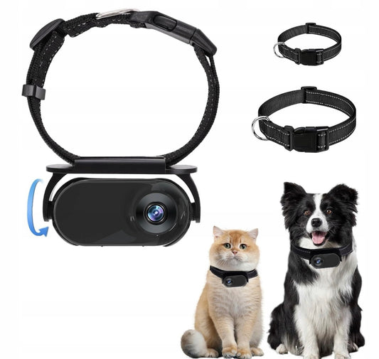 PawView Pet Cam