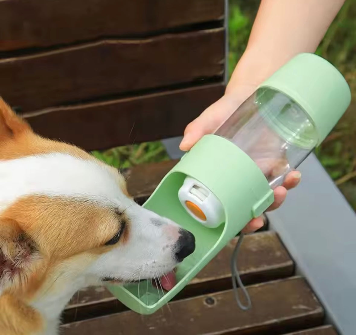 PawSip Travel Pet Bottle