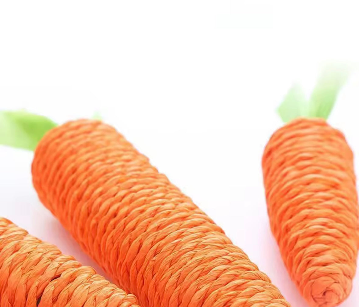 CarrotPlay Cat Toy