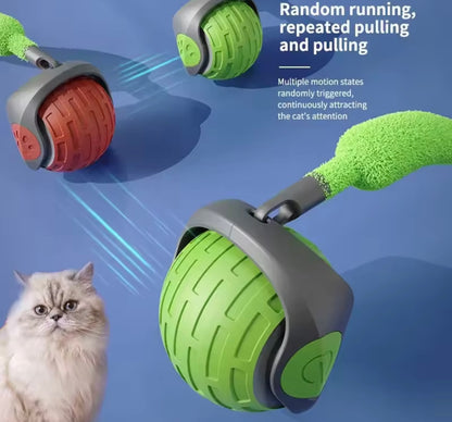 PawBall Smart Pet Toy