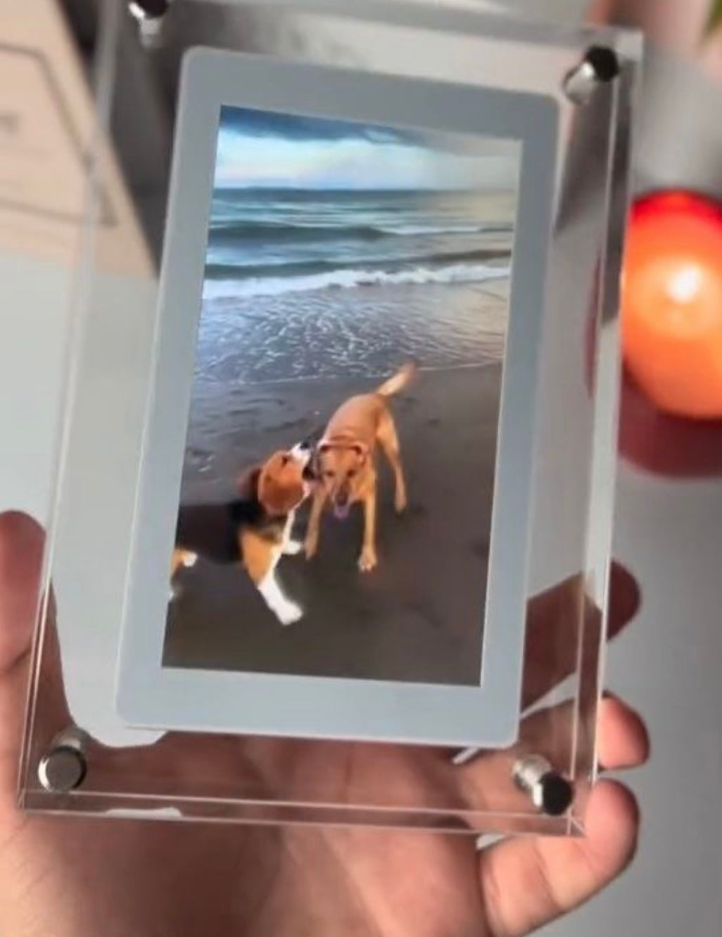 PawFrame Smart Frame