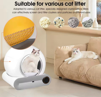 AutoLitter Self-Cleaning Cat Litter Box
