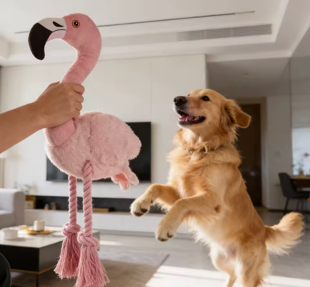 FlaminGoPlay Cat Toy