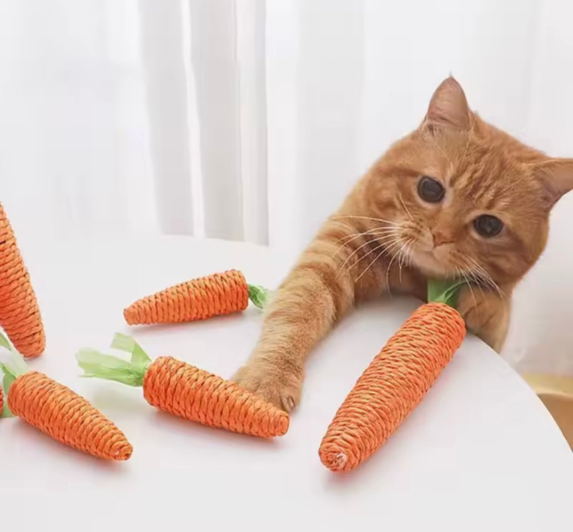 CarrotPlay Cat Toy
