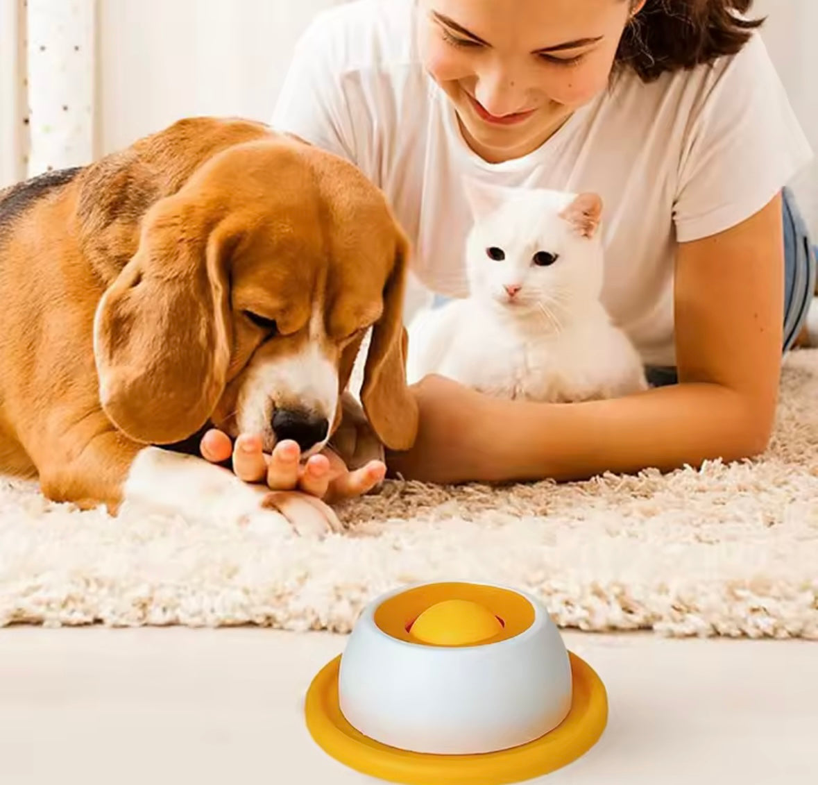 SlowPaws Feeder