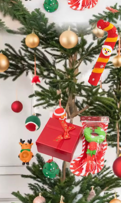 SantaPaws Stocking
