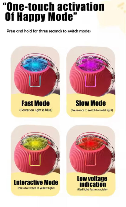PawBall Smart Pet Toy
