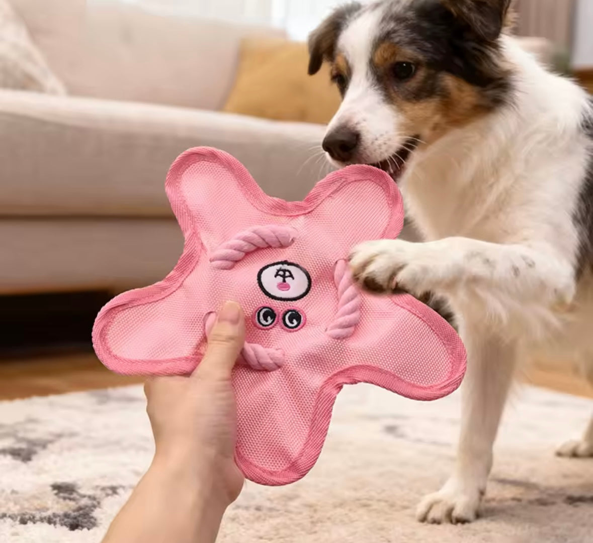 FetchJoy Chew Dog Toy