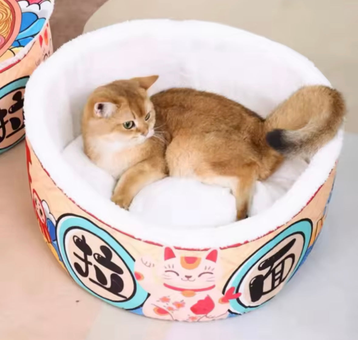 CozyHaven Pet Lodge