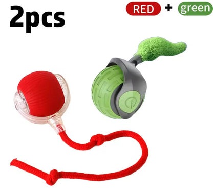 PawBall Smart Pet Toy