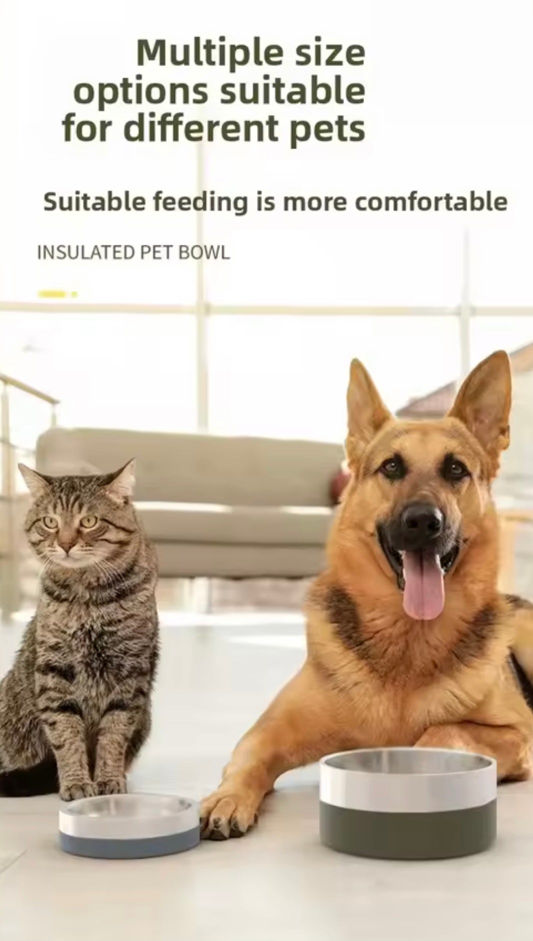 Stainless Steel Pet Bowl