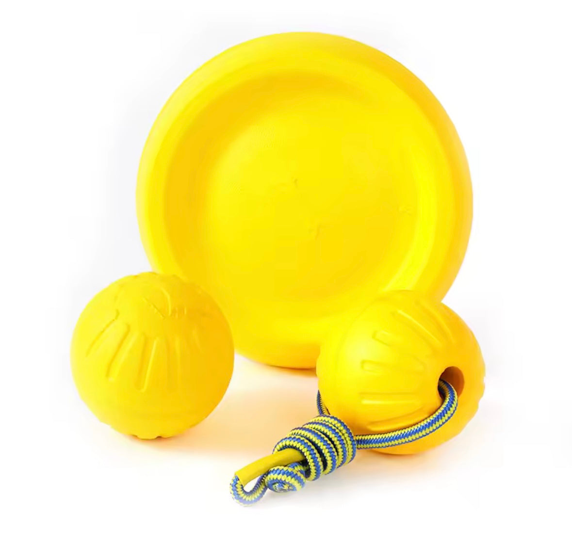 AquaBite Dog Toy