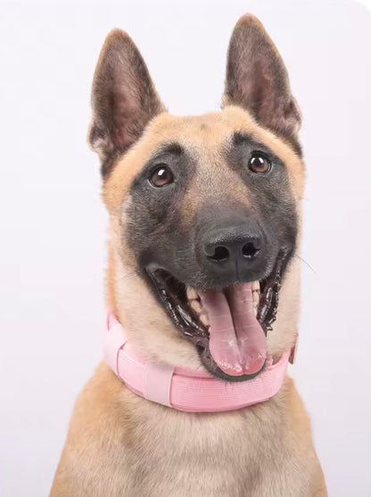PawSpace Comfort Collar