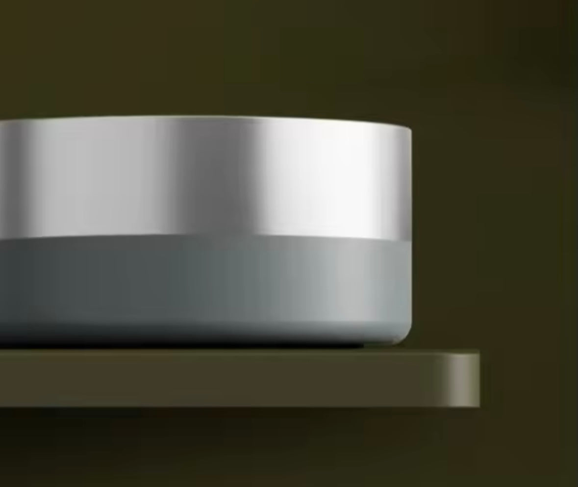 Stainless Steel Pet Bowl