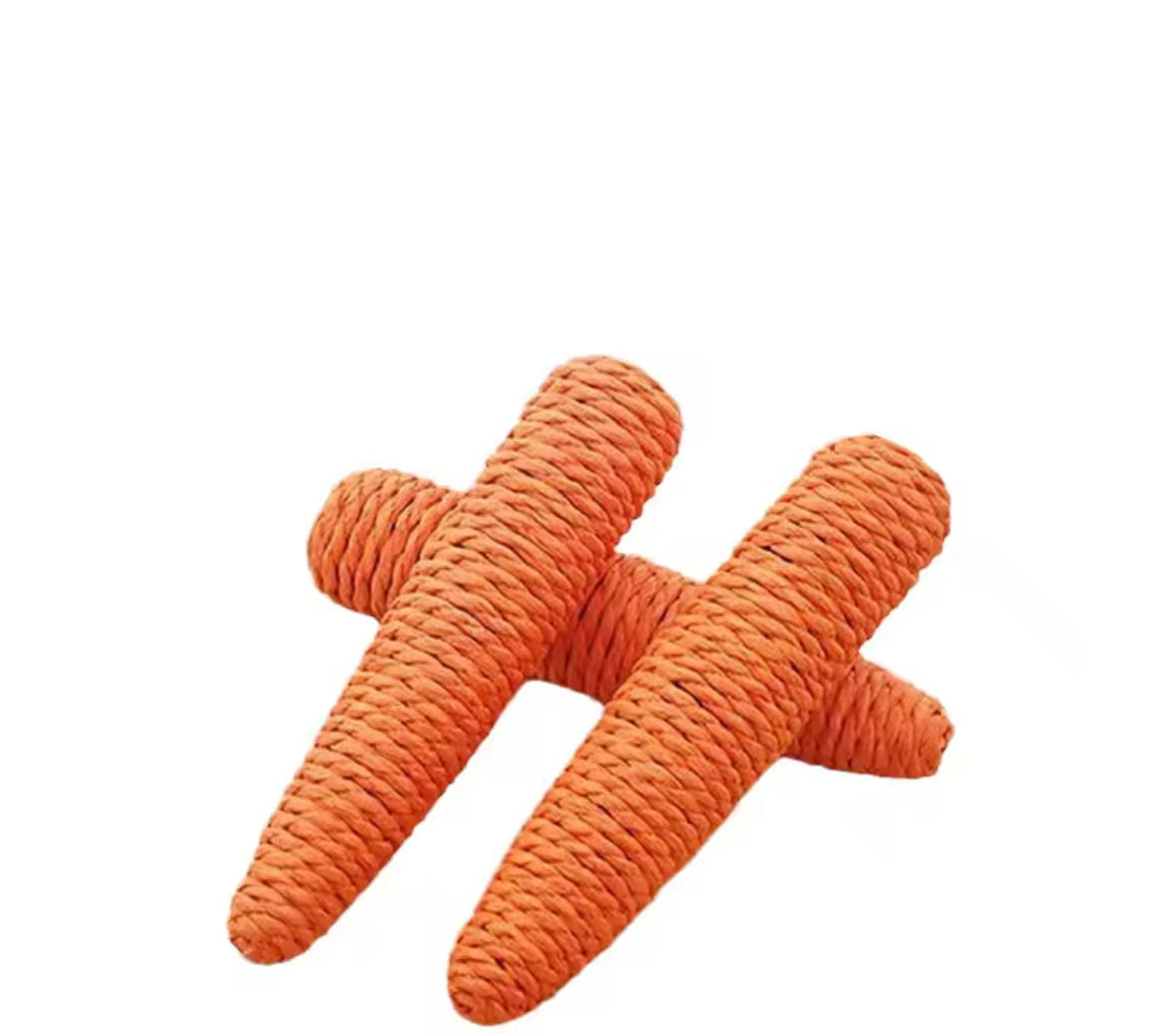 CarrotPlay Cat Toy