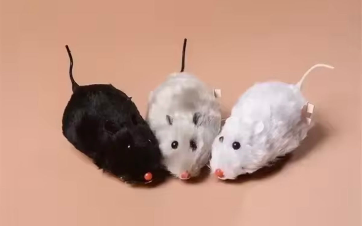 ChaseMouse Cat Toy