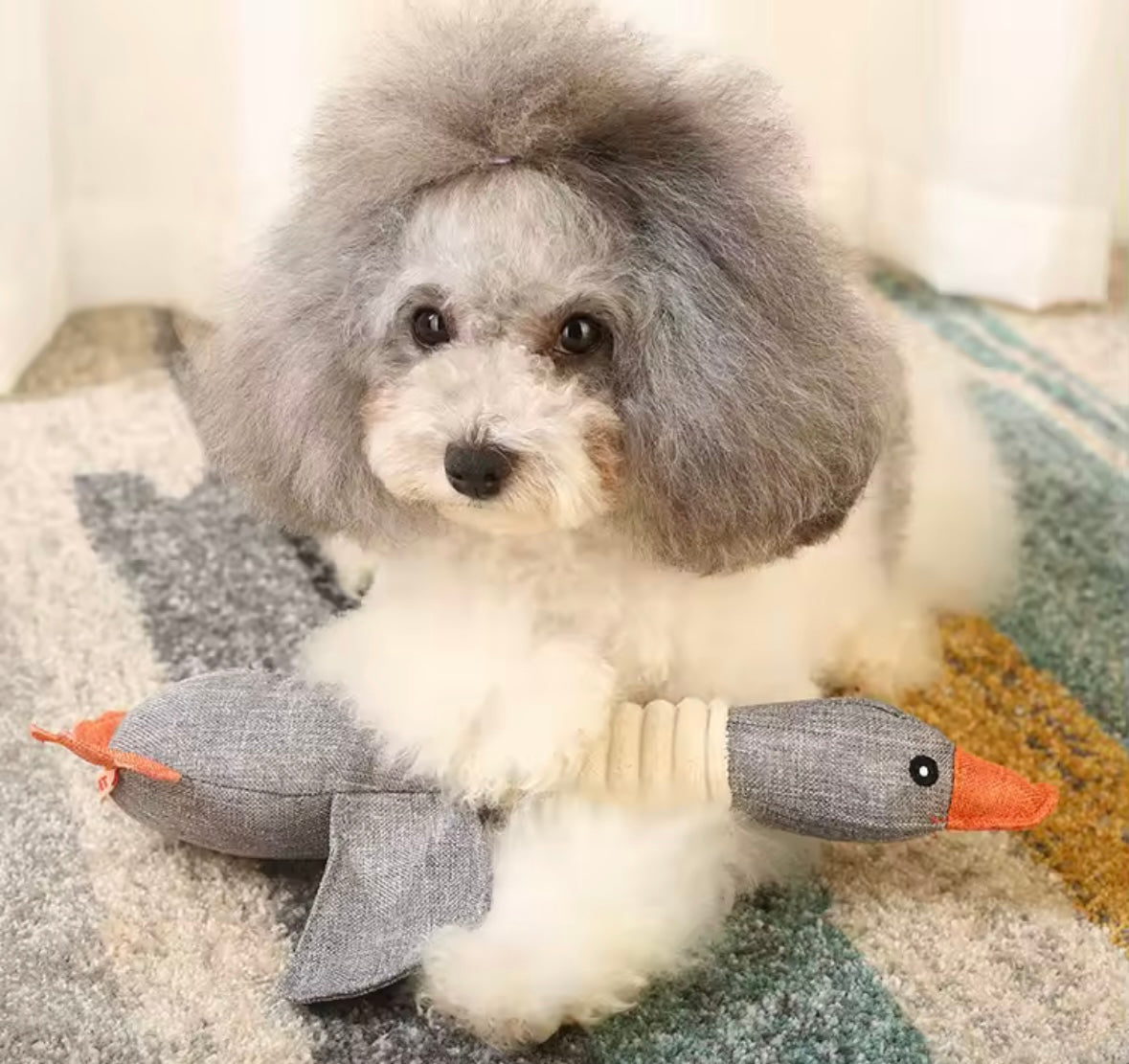 SqueakBeast Dog Toy