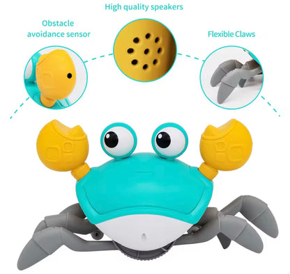 CrabbyChew Toy