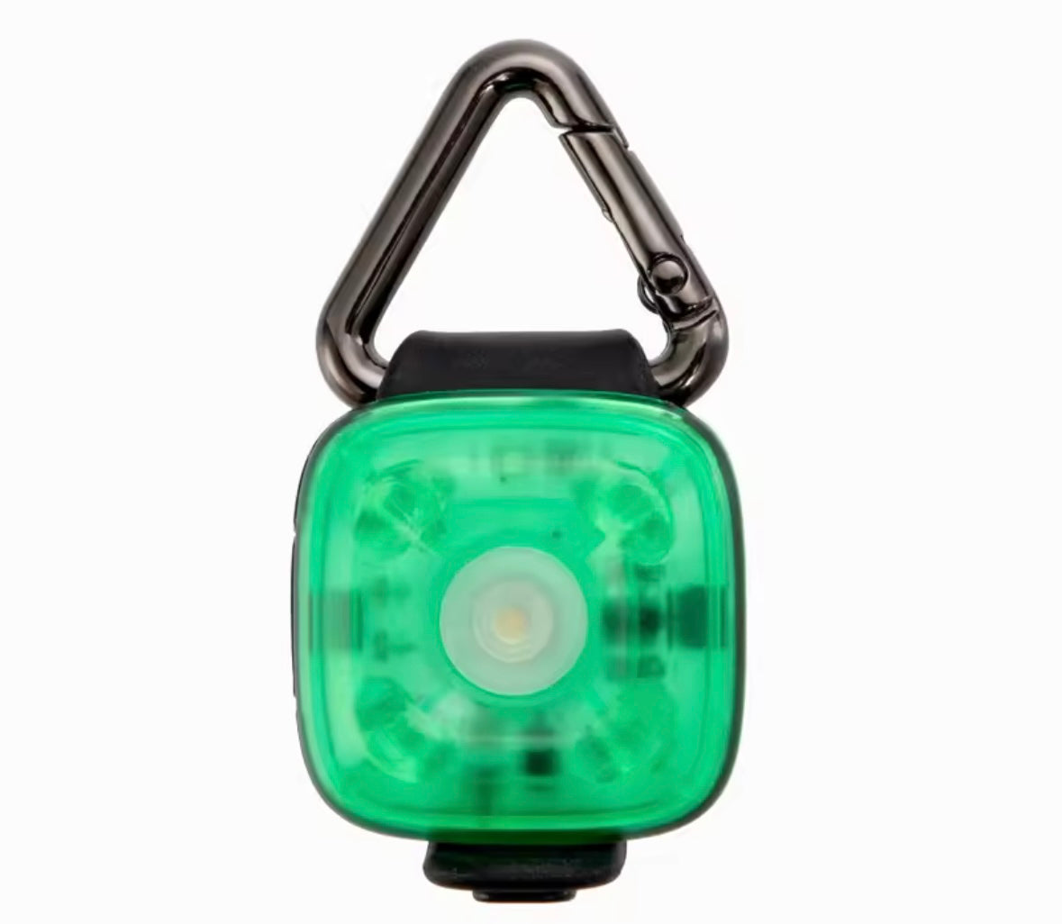 GlowPaws LED Pet Pendant