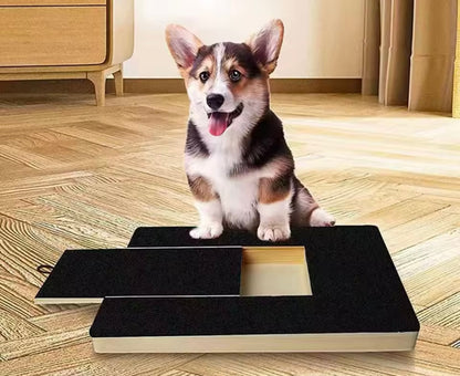 PawScratch Pet Board