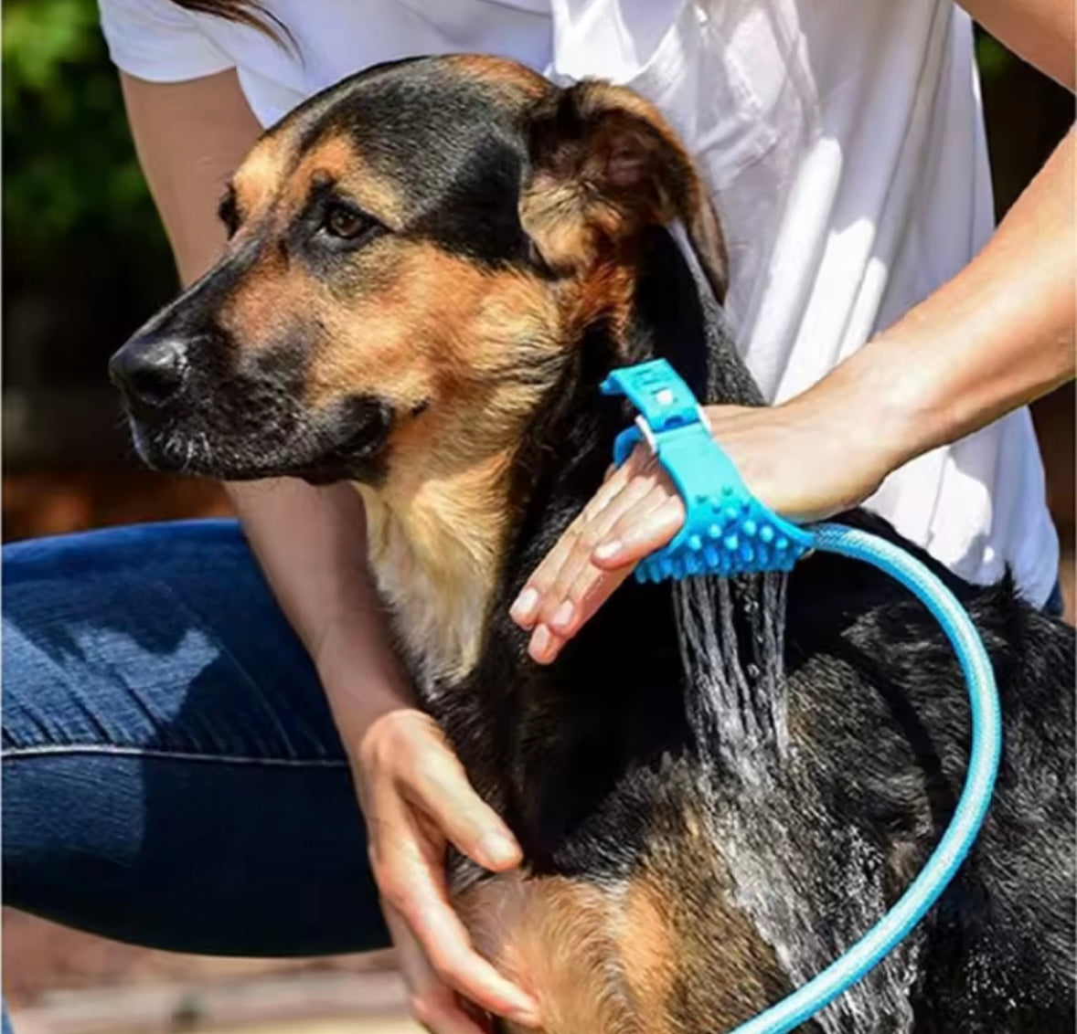 AquaPaw Pet Shower