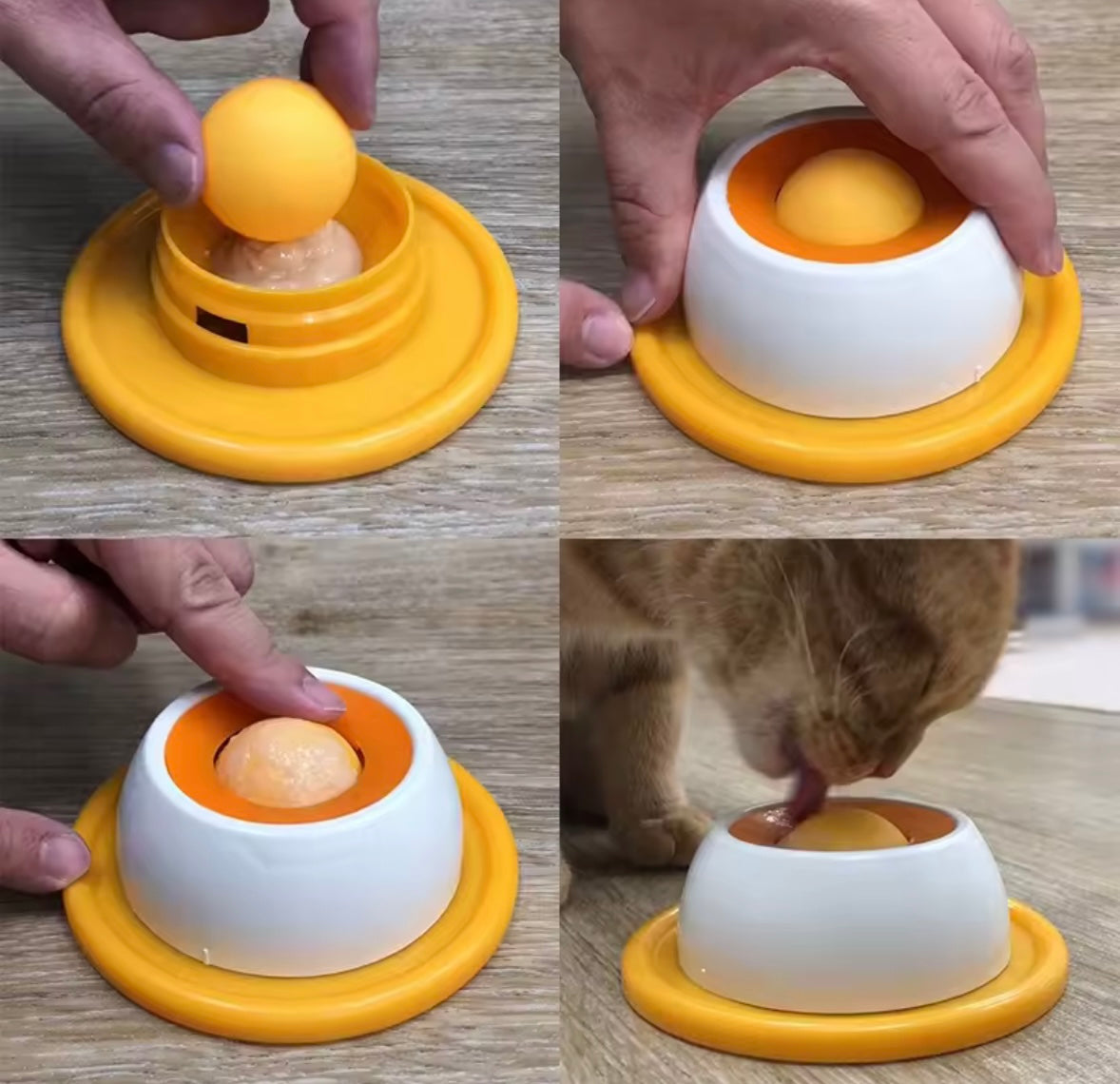 SlowPaws Feeder