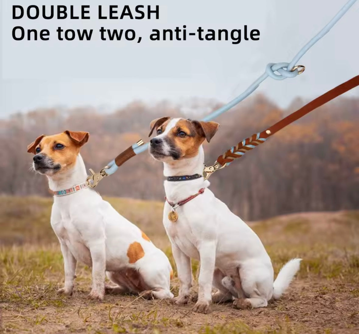 LuxeLeash Dog Leash