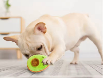 FruitPaws Dental Toy