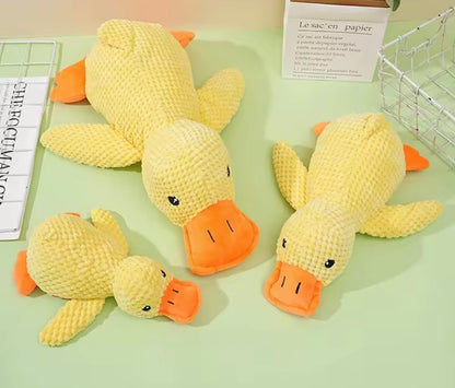 Duckie Squeak Toy