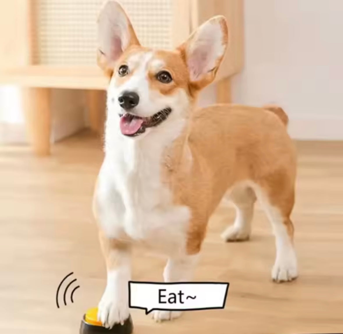 BarkTalk Dog Toy
