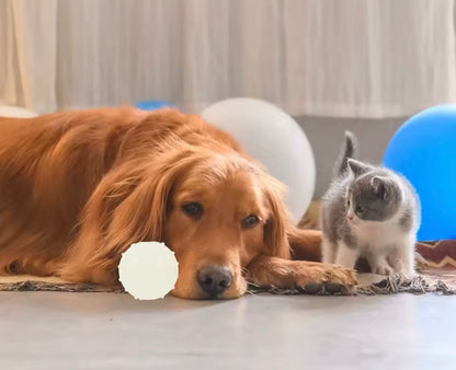 GlowBite Dog Chew Balls