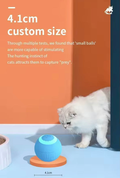 PawBall Smart Pet Toy