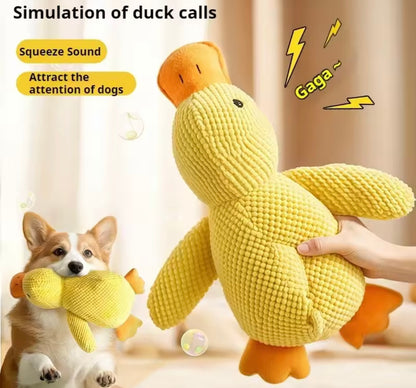 Duckie Squeak Toy