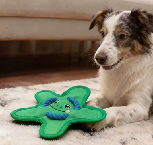 FetchJoy Chew Dog Toy