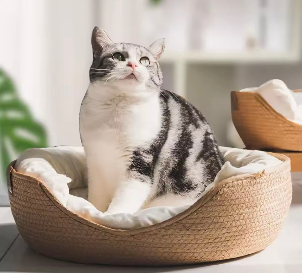 BambooNest Pet Bed