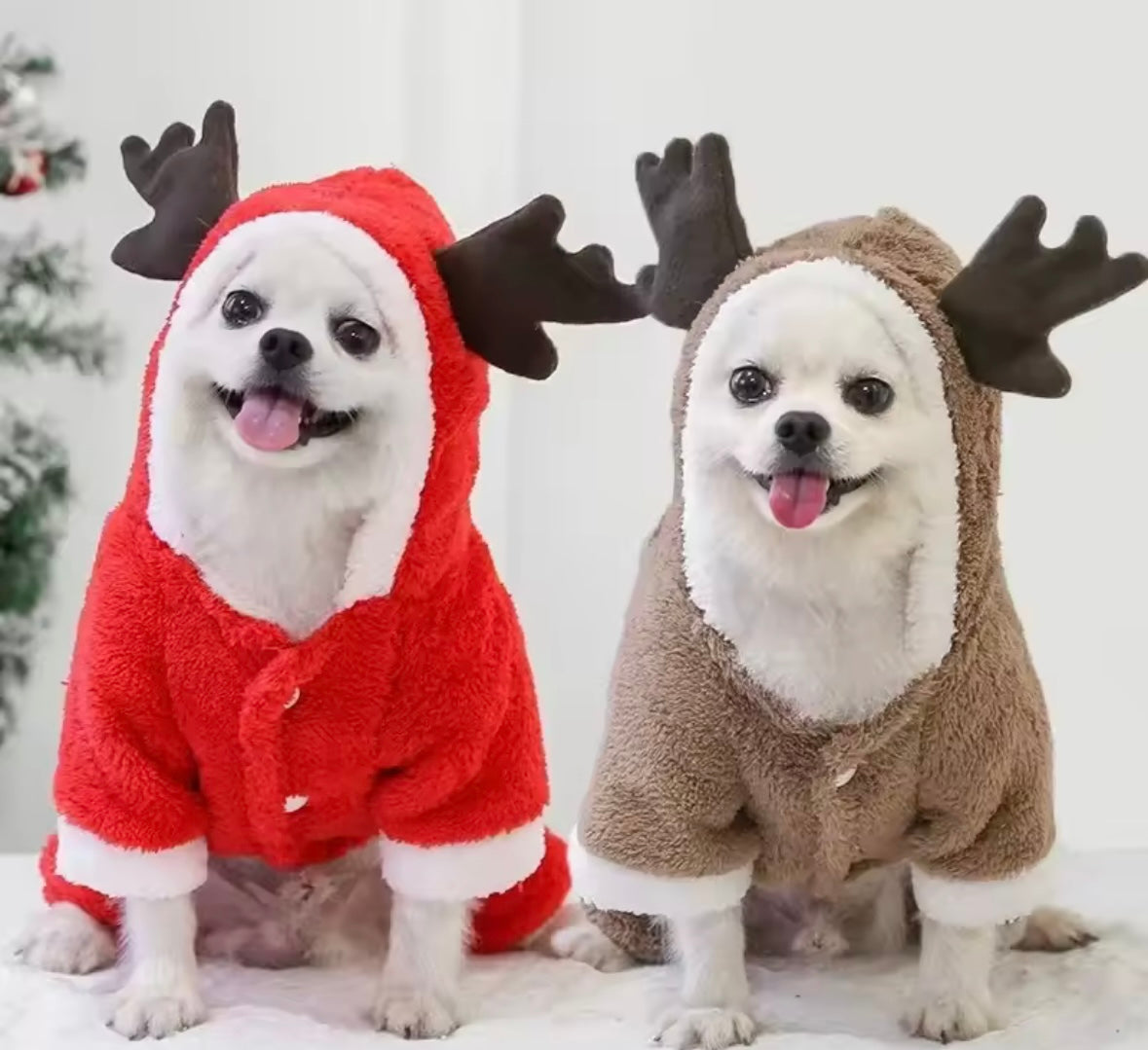 SantaPaws Pet Coat