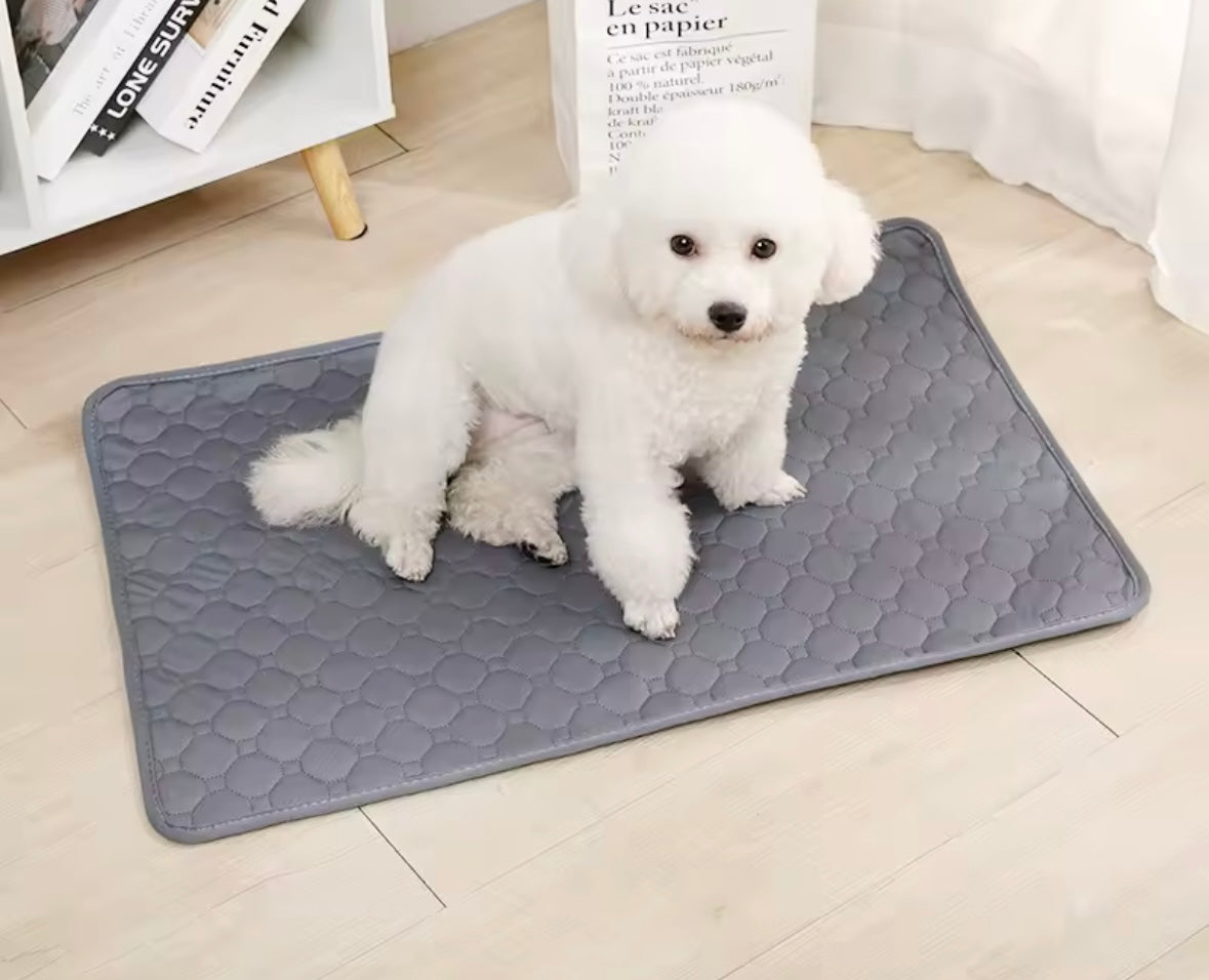 PawSoft Training Pad