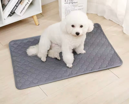 PawSoft Training Pad