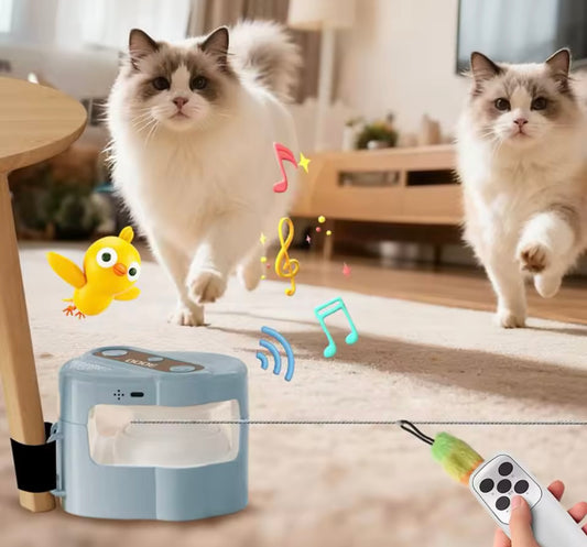 PurrSprint Cat Trainer