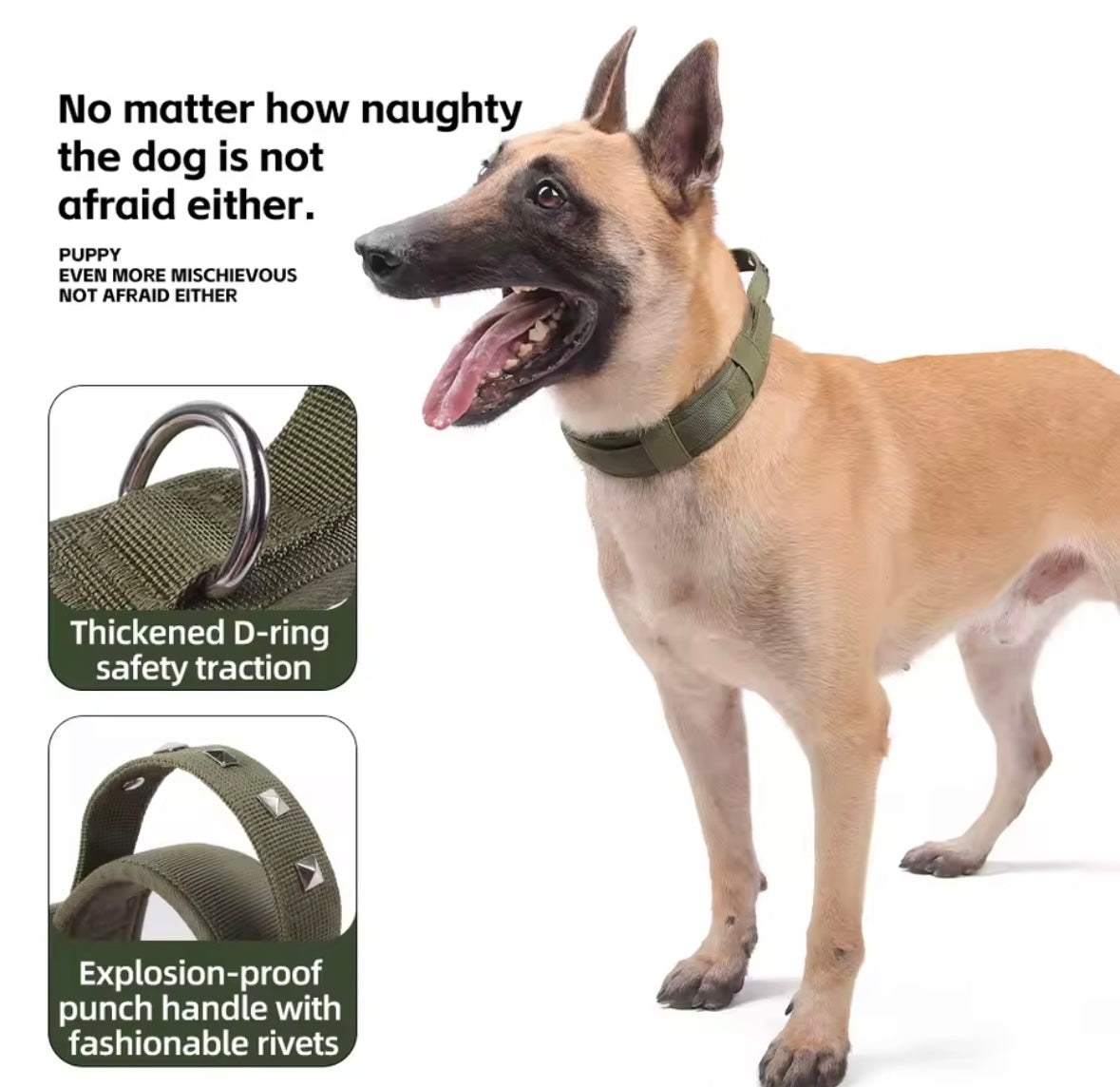 PawSpace Comfort Collar