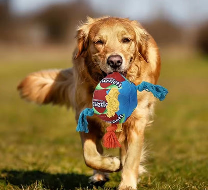 RainbowTwist Chew Toy