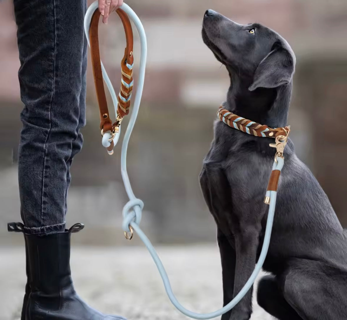 LuxeLeash Dog Leash