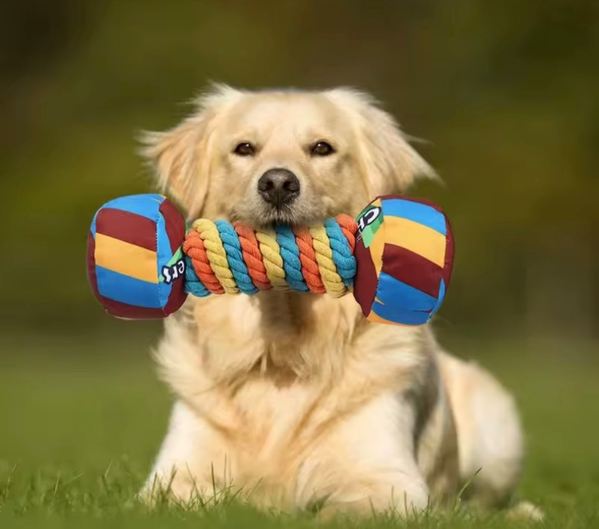 RainbowTwist Chew Toy
