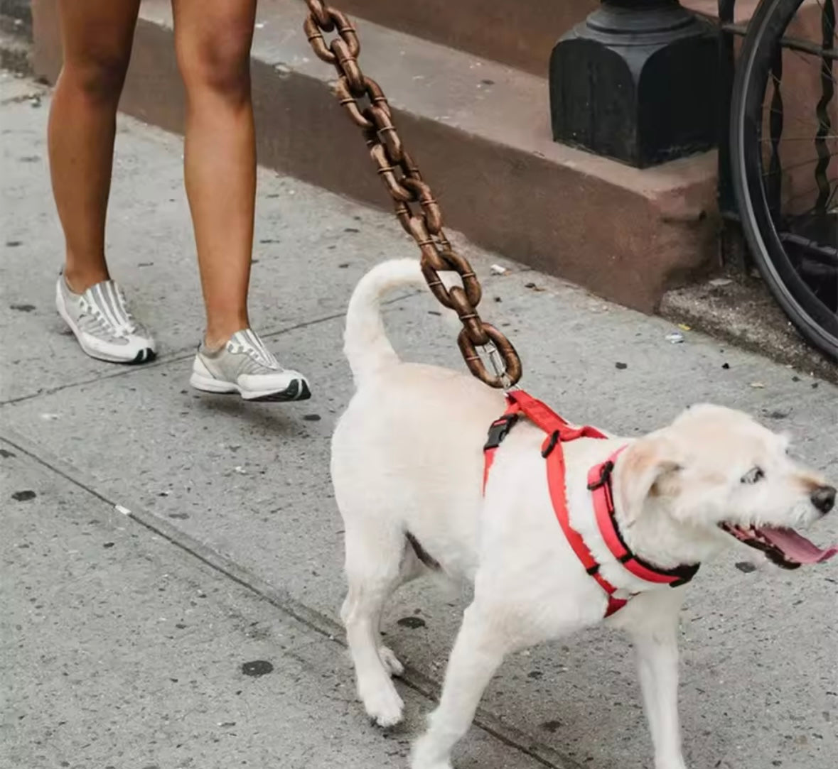ChainPaws Leash