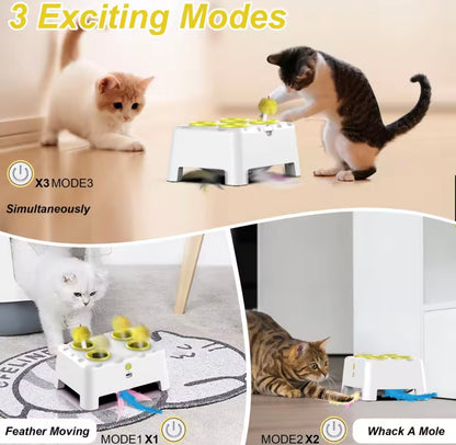 PawHunt Cat Toy