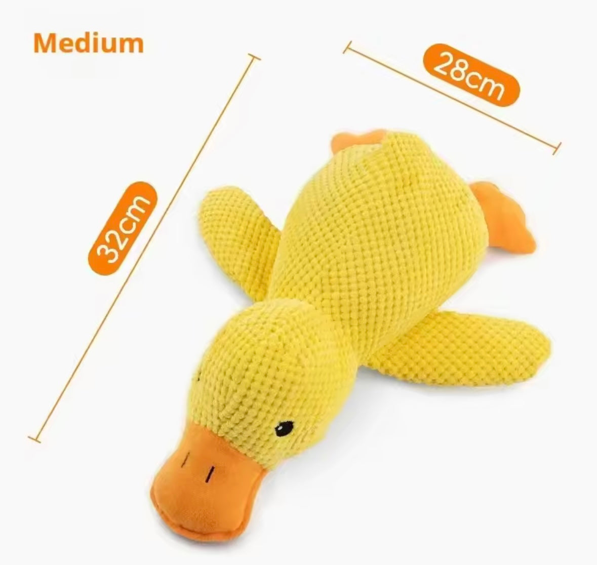 Duckie Squeak Toy